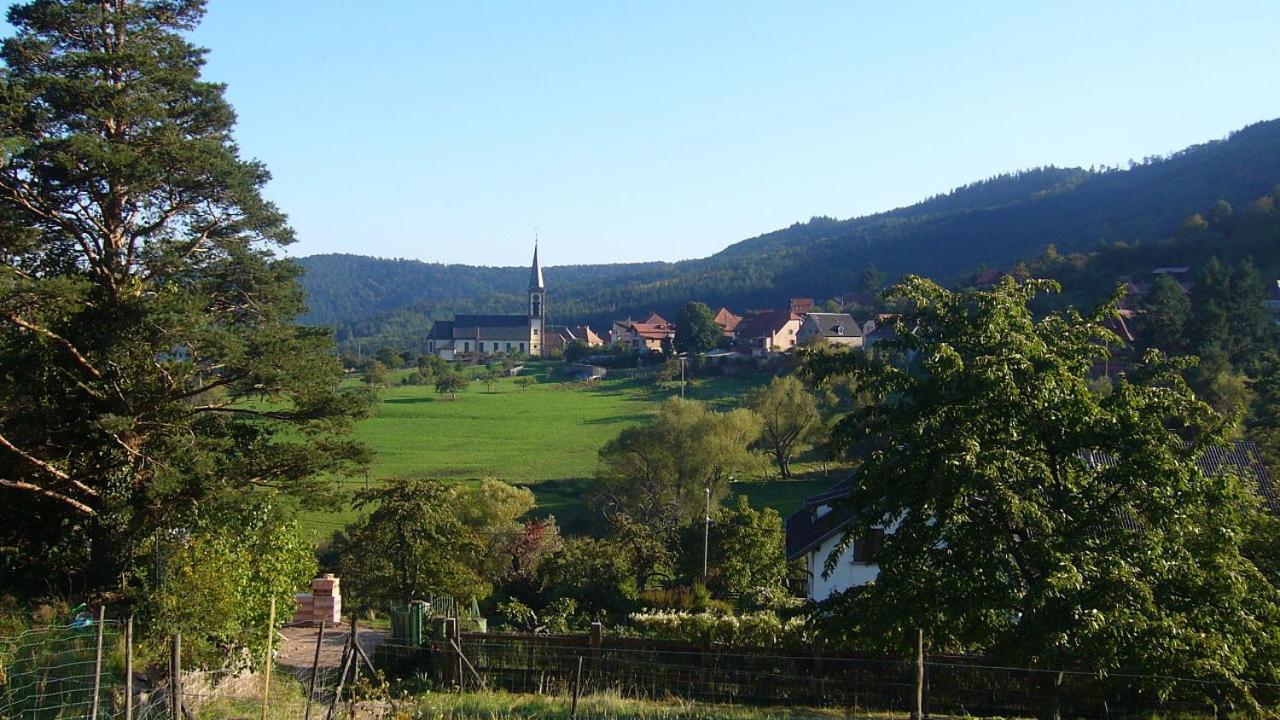 Hotel Du Haut Koenigsbourg- Entre Vignes Et Chateau Thannenkirch Ngoại thất bức ảnh