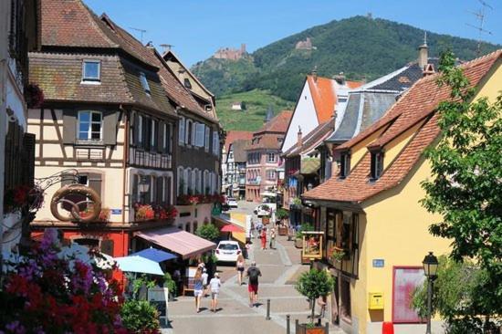 Hotel Du Haut Koenigsbourg- Entre Vignes Et Chateau Thannenkirch Ngoại thất bức ảnh
